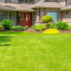 Improve your home's exterior