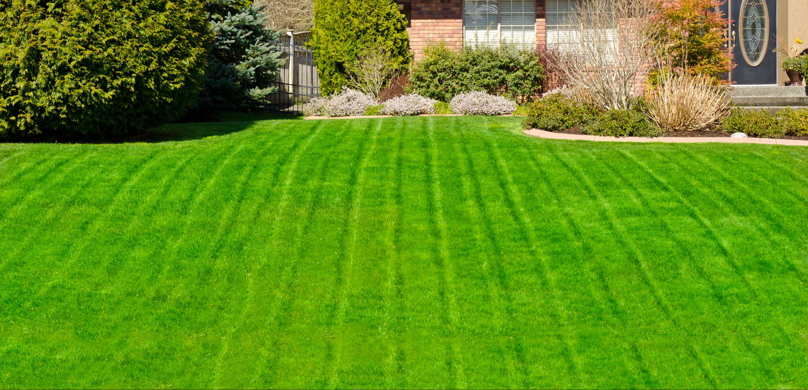 lawn management